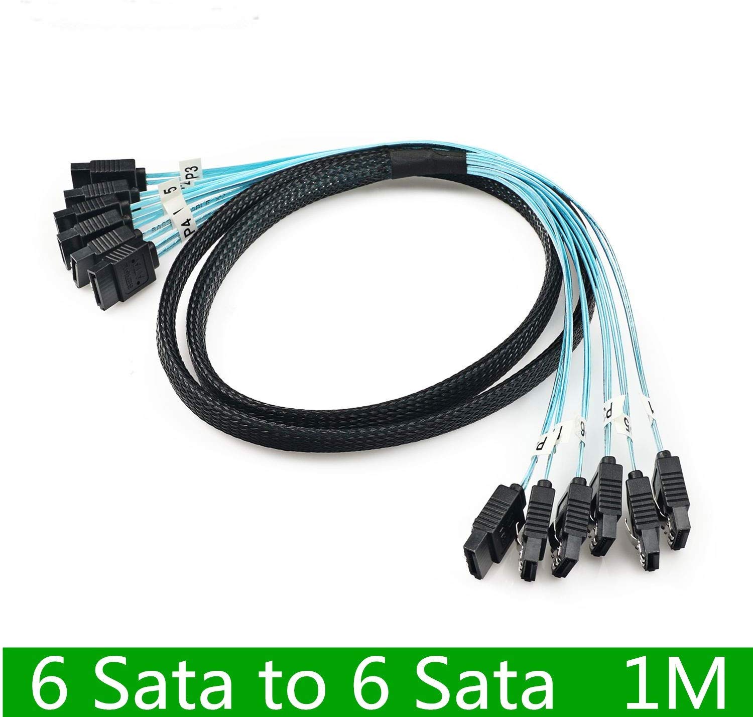 CableDeconn Lot de 6 câbles SATA 6 SATA Câble SAS pour Serveur 1 m 