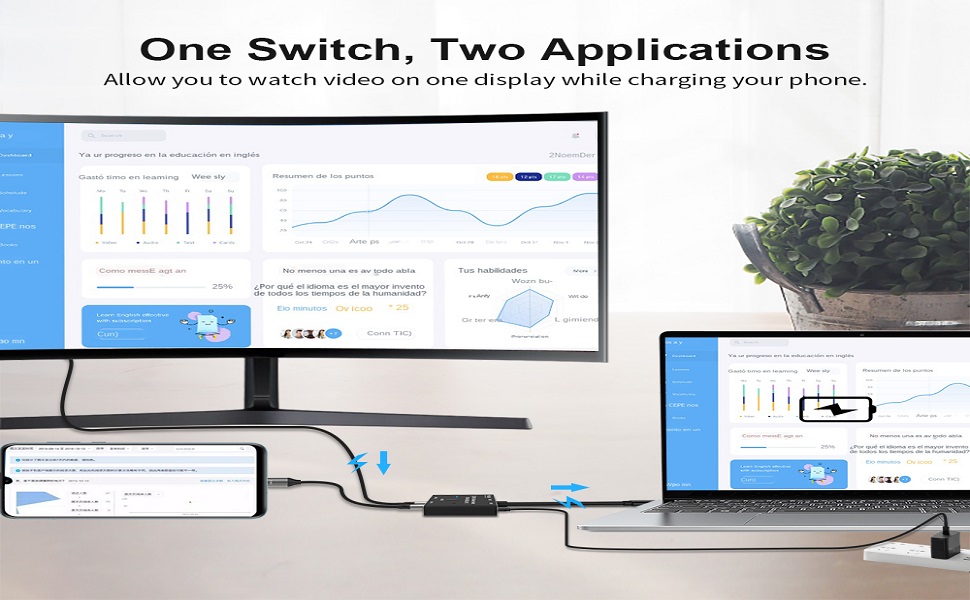 Video Function-2:1 in 2 Out-One Sources Devices to Two Displays(Switch connection ）